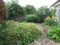 IMG_2523.JPG