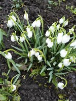 IMG_20200308_101546.jpg