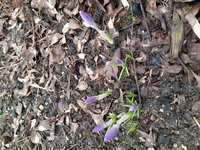 IMG_20200308_124826.jpg