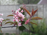 IMG_3793.JPG