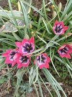 IMG_20200505_115921.jpg