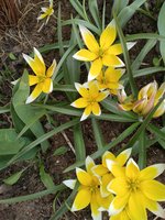 IMG_20200505_115811.jpg