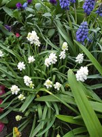 IMG_20200505_120022.jpg