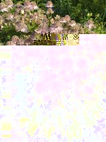 IMG_20200614_184120.jpg