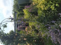 IMG_20200712_102416.jpg