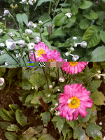 IMG_20200905_175619.jpg