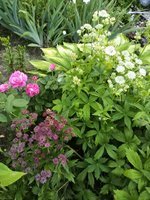 IMG_20200627_203315.jpg