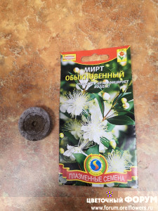 Семена &quot;Мирт Обыкновенный&quot; (Агроника)