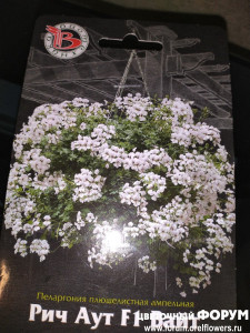 IMG_20201108_175733.jpg