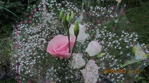 IMG_2476_1.jpg