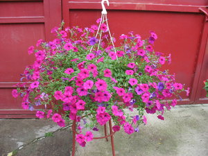 IMG_8302 ф.jpg
