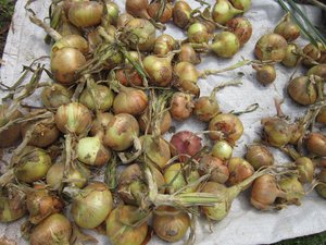 IMG_4821 1.jpg