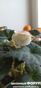 IMG_20210326_164852.jpg