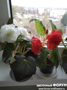 IMG_20210430_082021.jpg