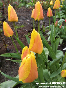 IMG_20210509_080902.jpg