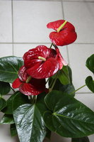 IMG_7538 1.jpg