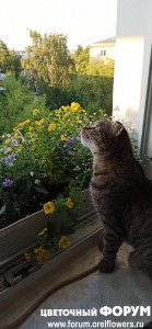 IMG_20210712_193650.jpg