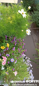 IMG_20210712_193859.jpg