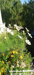 IMG_20210801_064521.jpg