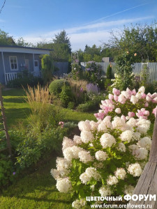 IMG_20200819_075649.jpg