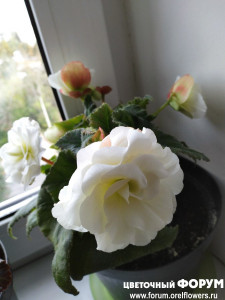 IMG_20210917_083321.jpg