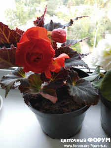 IMG_20210917_083233.jpg