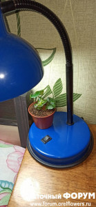 IMG_20211217_162135.jpg
