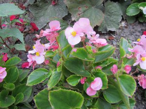IMG_0152 1.jpg
