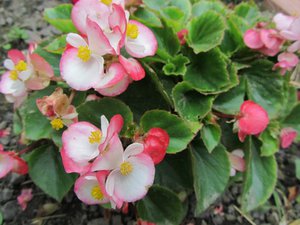 IMG_0153 1.jpg