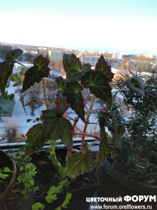 IMG_20220116_155328.jpg