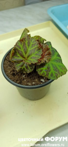 IMG_20220125_162502.jpg