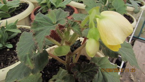 IMG_5624_1.jpg