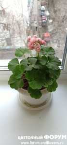 IMG_20220412_181557.jpg
