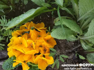 IMG_20220515_165908.jpg