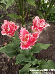 IMG_20220522_114531.jpg