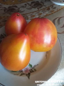 Немецкая оранжевая клубника.