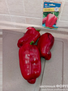 Клаудио.