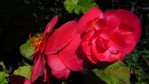 IMG_4561.jpg