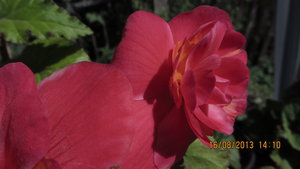 IMG_4586.jpg