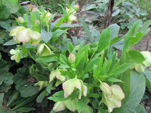 IMG_0161 1.jpg