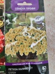 Купила к новому сезону.