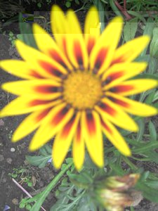 IMG_1033.JPG