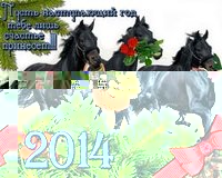 foto - копия.jpg