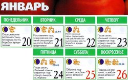 20 -26 января.jpg