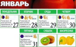 27 - 31 января.jpg