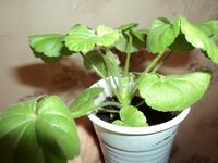 DSC01395.JPG