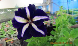IMG_0076.jpg