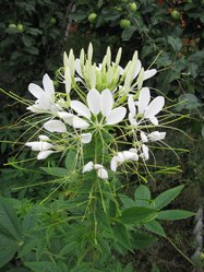 IMG_1028.JPG